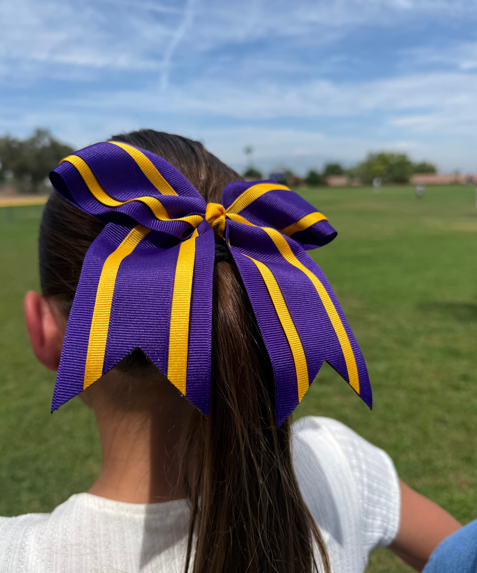Purple & Gold Bow