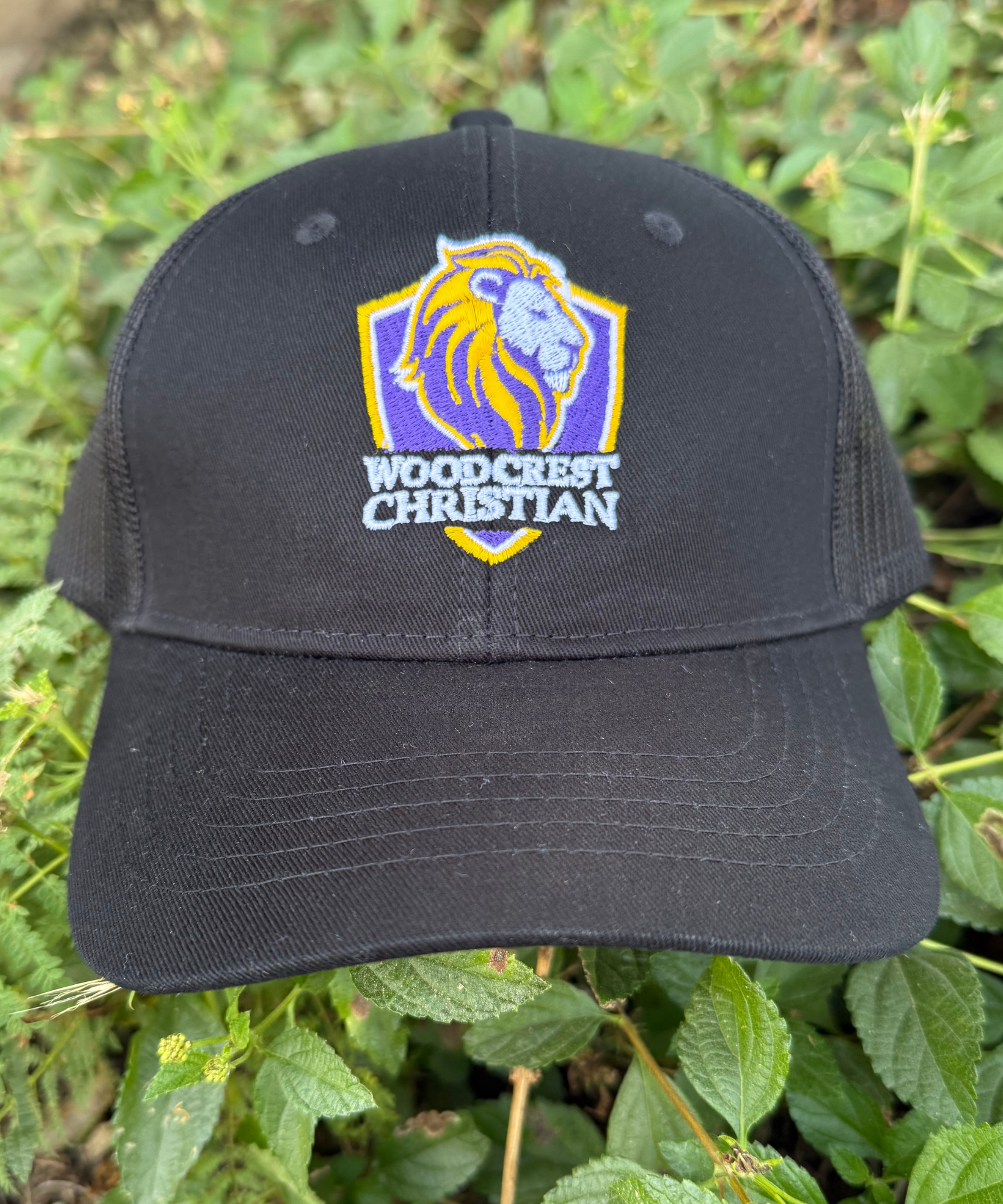 Youth Lion Shield Black Snapback Hat