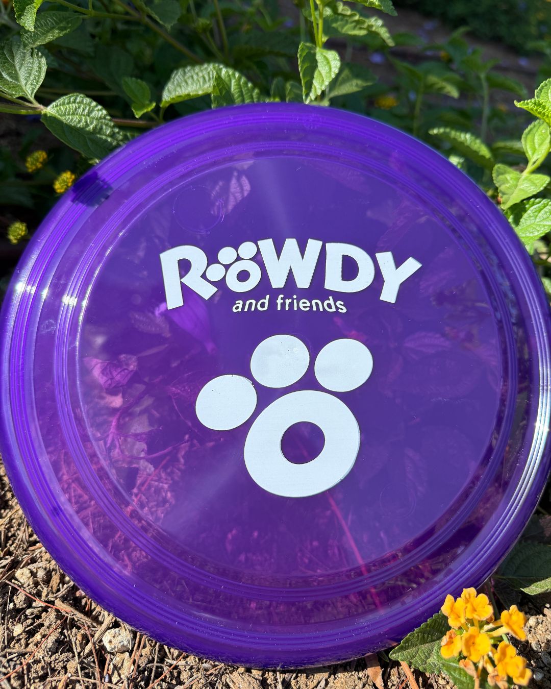 Rowdy Frisbee