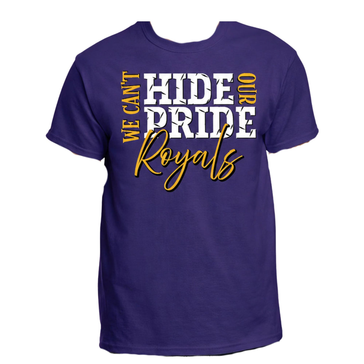 Can't Hide Our Pride Shirt